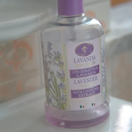 Апартаменты Mansarde Lavande De Savoie Вальдиери