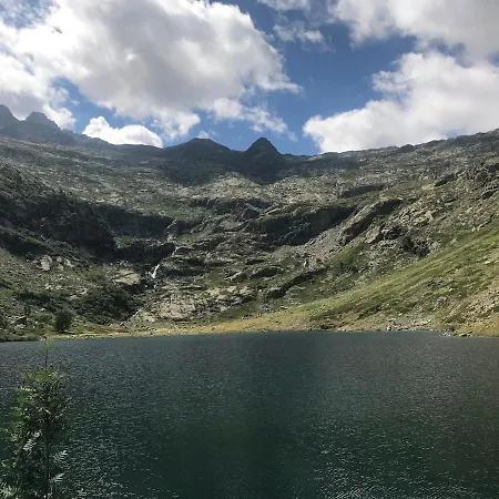 Lavande De Savoie Nelle Alpi Marittime