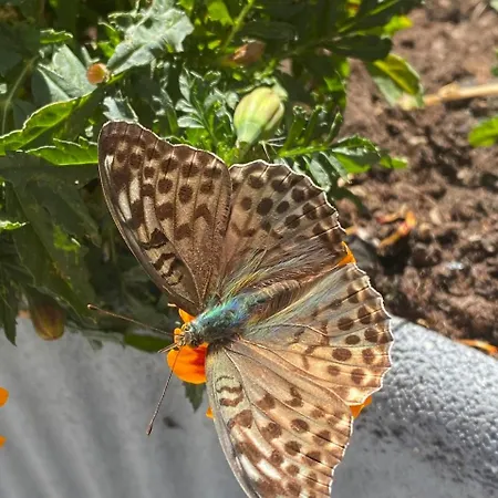 Appartamento Mansarde Lavande De Savoie