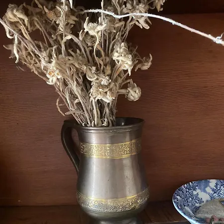 Mansarde Lavande De Savoie Valdieri