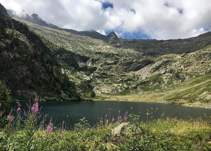 Mansarde Lavande De Savoie