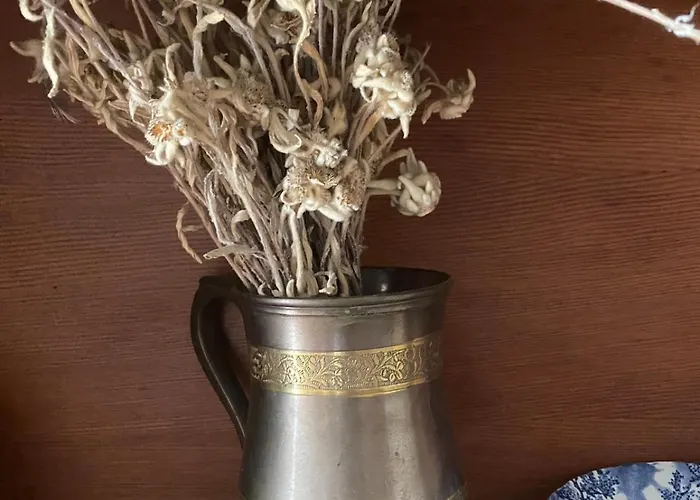 Mansarde Lavande De Savoie Valdieri